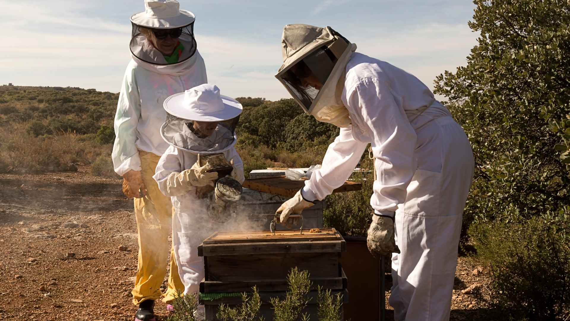 La Fondation Lune de Miel® soutient les actions pédagogiques en faveur des abeilles