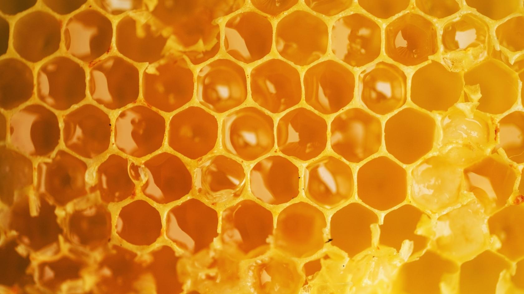 Fondation Lune de Miel® accompagne l’ITSAP-Institut de l’abeille dans la recherche sur les pesticides